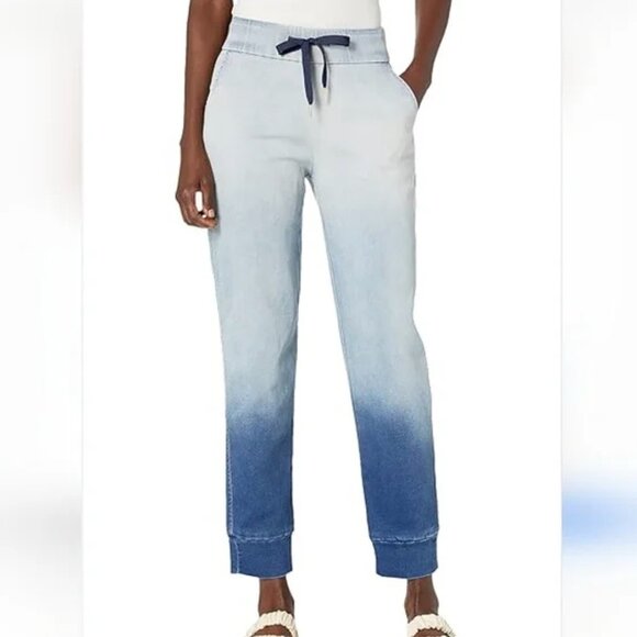 NWT Jessica Simpson Absolute Flex Denim Pull-on Joggers Women's L - Picture 1 of 11
